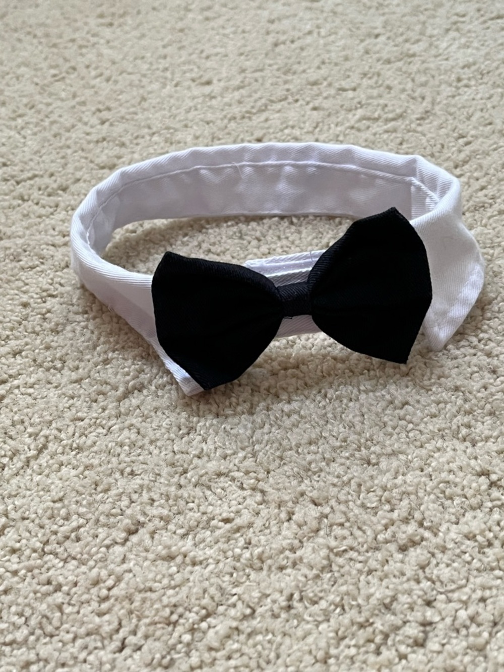 Black Bowtie on White Collar